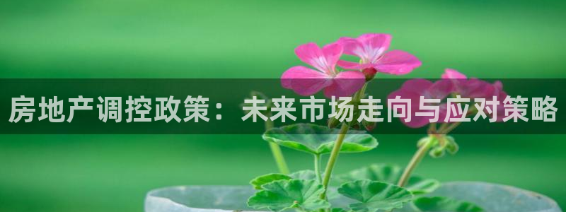 摩登7注册账号：房地产调控政策：未来市场走向与应对策略