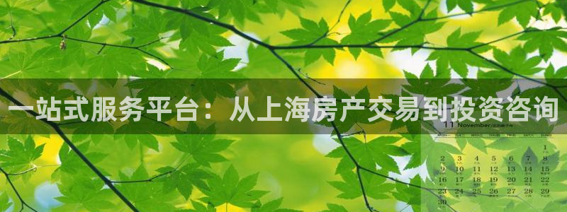 摩登7重工摩登：一站式服务平台：从上海房产交易到投资咨询