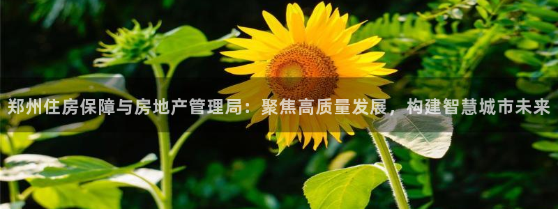 摩登7口碑：郑州住房保障与房地产管理局：聚焦高质量发展，构建