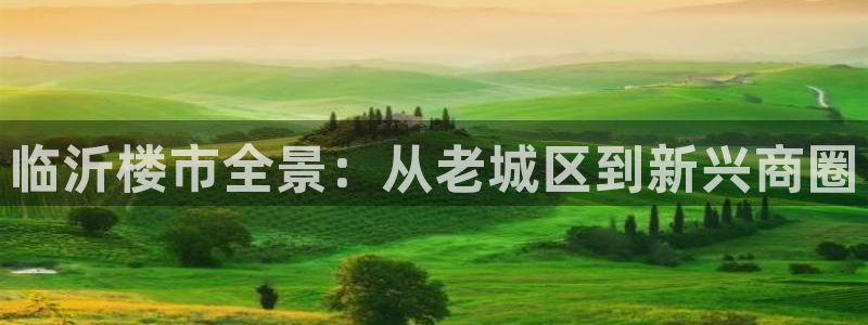 摩登7公司排名