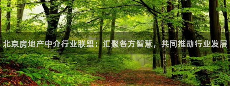 摩登7彩票平台登陆总代