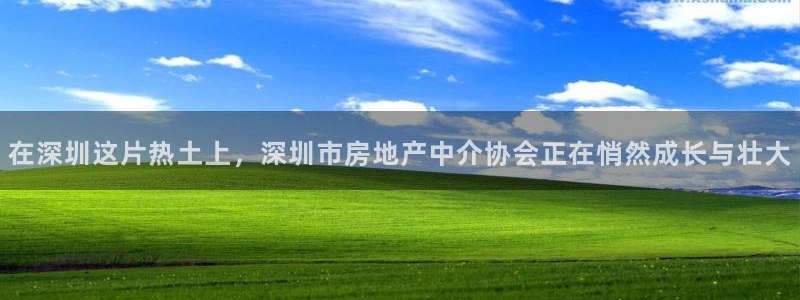 摩登7娱乐注册：在深圳这片热土上，深圳市房地产中介协会正在悄
