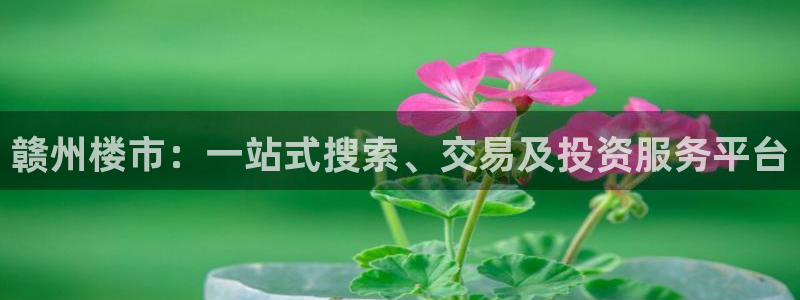 摩登7开户