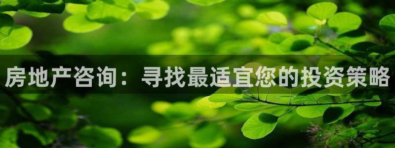 摩登7安全吗：房地产咨询：寻找最适宜您的投资策略