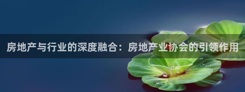 摩登7服333OO：房地产与行业的深度融合：房地产业协会的引