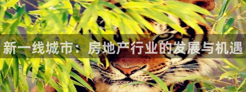 摩登7日7O667：新一线城市：房地产行业的发展与机遇