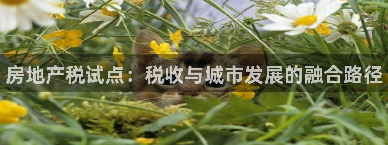 摩登7开户：房地产税试点：税收与城市发展的融合路径
