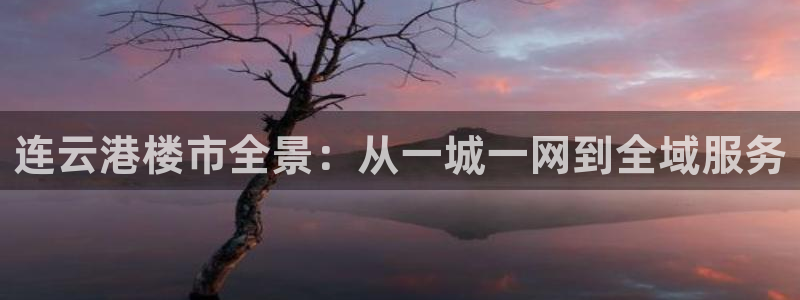 摩登天空7：连云港楼市全景：从一城一网到全域服务