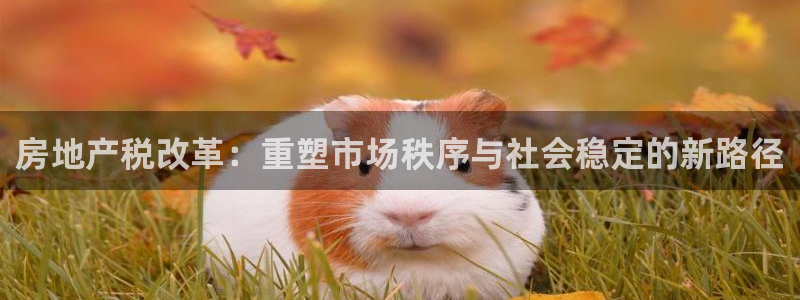 摩登5许7O667：房地产税改革：重塑市场秩序与社会稳定的新