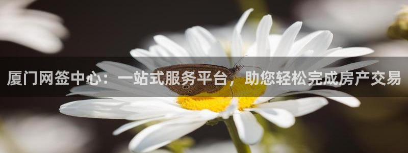 摩登7方3299O7：厦门网签中心：一站式服务平台，助您轻松