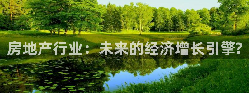 摩登4前7O667：房地产行业：未来的经济增长引擎?