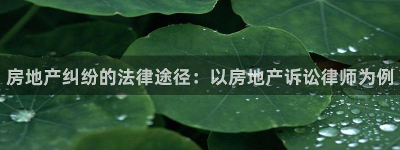 摩登7右：房地产纠纷的法律途径：以房地产诉讼律师为例