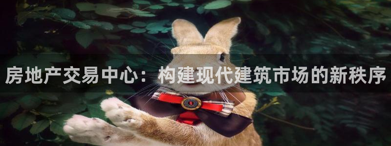 摩登7链接：房地产交易中心：构建现代建筑市场的新秩序