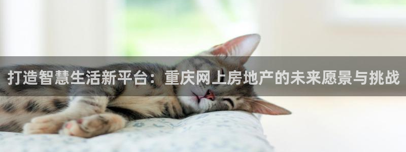 摩登平台视7O777：打造智慧生活新平台：重庆网上房地产的未