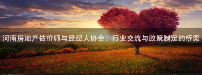 摩登7平台登录网址：河南房地产估价师与经纪人协会：行业交流与