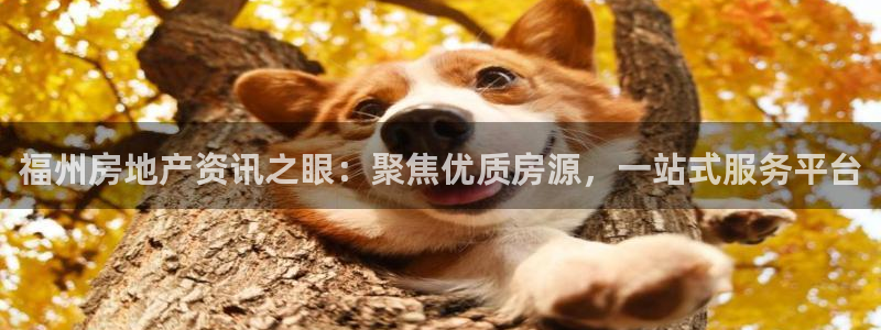 摩登5冯7O667：福州房地产资讯之眼：聚焦优质房源，一站式
