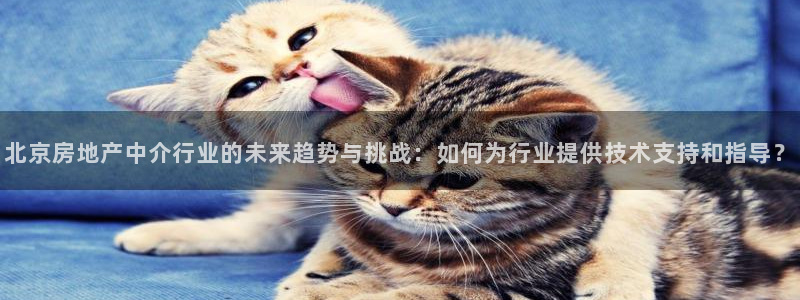 7牌摩登：北京房地产中介行业的未来趋势与挑战：如何为行业提供