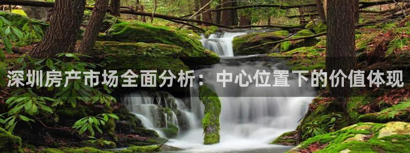 摩登7平台招商：深圳房产市场全面分析：中心位置下的价值体现
