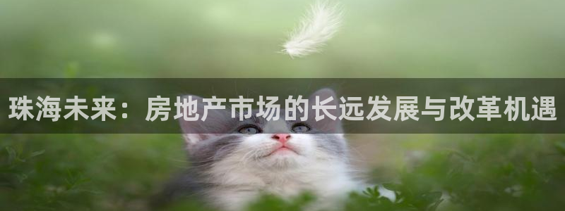 摩登6郑7O667：珠海未来：房地产市场的长远发展与改革机遇