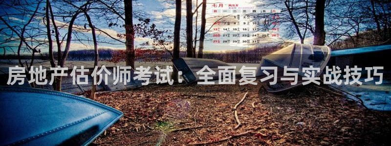 摩登招商丨金手指科捷7：房地产估价师考试：全面复习与实战技巧