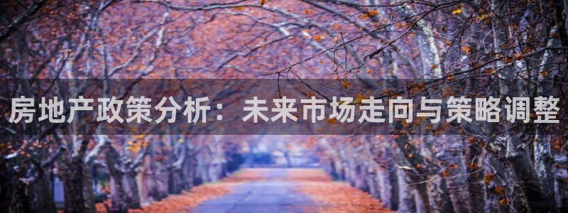 摩登7平台登录网址：房地产政策分析：未来市场走向与策略调整