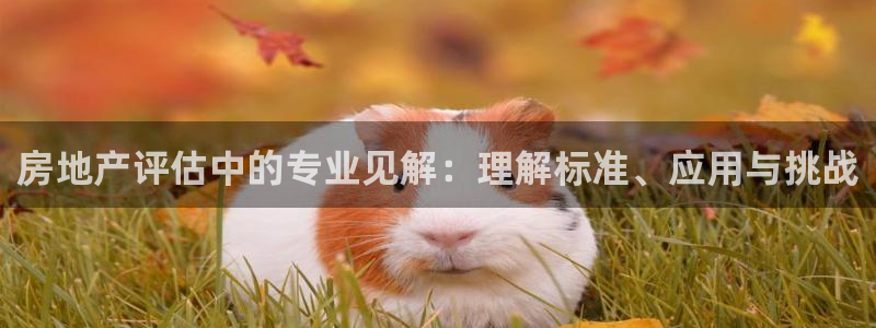 摩登7直属招商：房地产评估中的专业见解：理解标准、应用与挑战