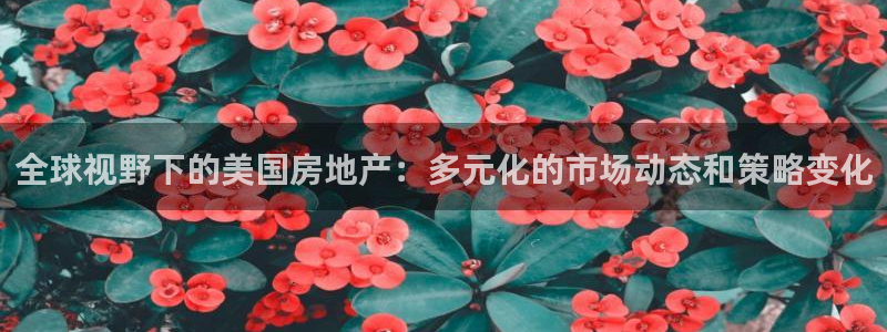 摩登乐园7：全球视野下的美国房地产：多元化的市场动态和策略变
