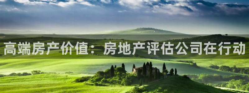 摩登3右7O667：高端房产价值：房地产评估公司在行动