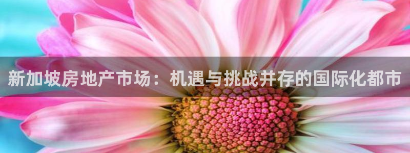 摩登7网站排名：新加坡房地产市场：机遇与挑战并存的国际化都市