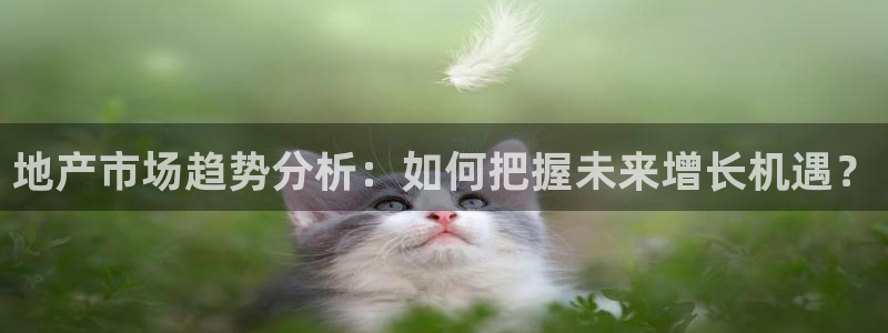 摩登6韩这7O667