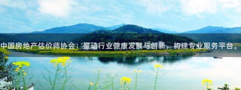 摩登7游戏：中国房地产估价师协会：推动行业健康发展与创新，构
