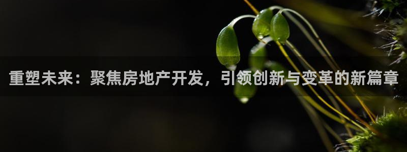 摩登7泽333OO：重塑未来：聚焦房地产开发，引领创新与变革