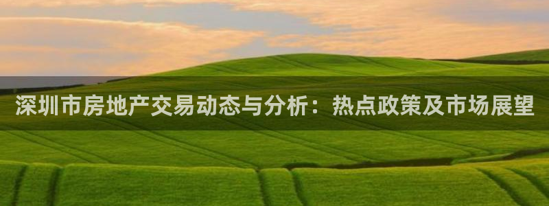 摩登7主管qq：深圳市房地产交易动态与分析：热点政策及市场展
