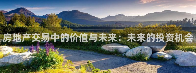 摩登7方3299O7：房地产交易中的价值与未来：未来的投资机