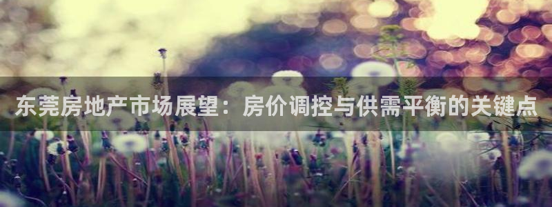 摩登7登录摇333OO：东莞房地产市场展望：房价调控与供需平