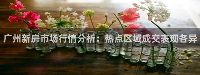 摩登7登录找qv3822233：广州新房市场行情分析：热点区
