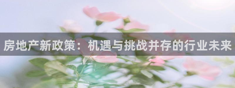 摩登6月7O667：房地产新政策：机遇与挑战并存的行业未来