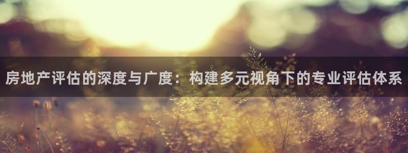 摩登7平台登陆：房地产评估的深度与广度：构建多元视角下的专业