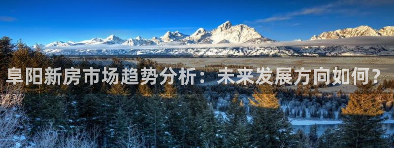 国际版摩登世界7：阜阳新房市场趋势分析：未来发展方向如何？