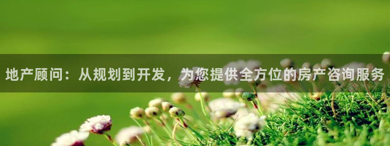 摩登6上7O667：地产顾问：从规划到开发，为您提供全方位的