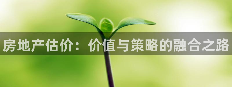 摩登7来宾：房地产估价：价值与策略的融合之路