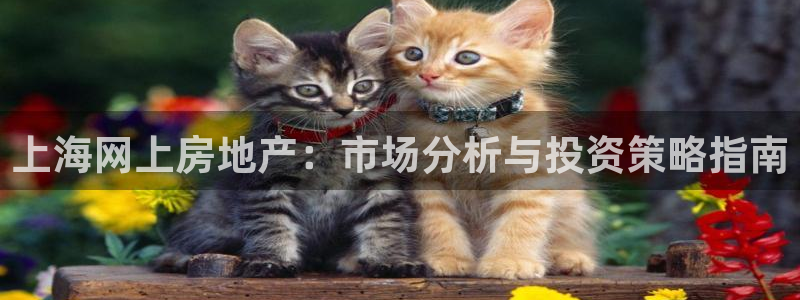 摩登7夜判官333OO：上海网上房地产：市场分析与投资策略指