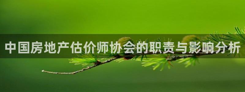 摩登7注册页面：中国房地产估价师协会的职责与影响分析