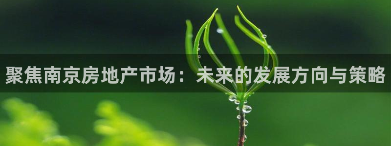 摩登7注册快333OO：聚焦南京房地产市场：未来的发展方向与